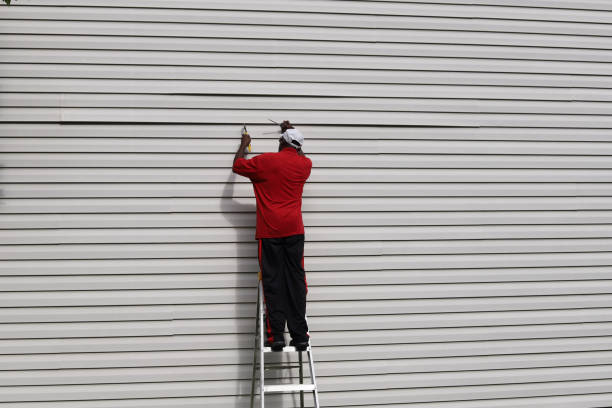 Best Steel Siding Installation  in Northglenn, CO
